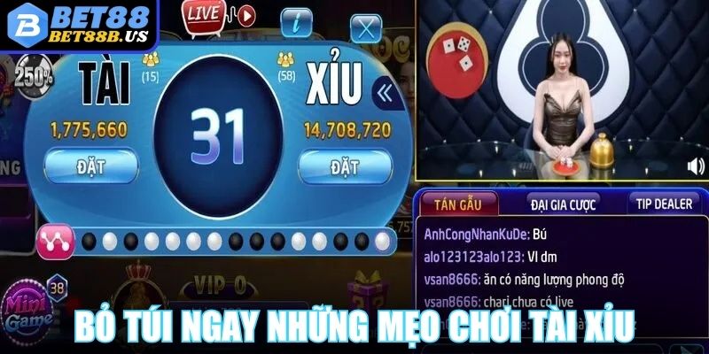 Bỏ túi ngay những mẹo chơi tài xỉu thông minh