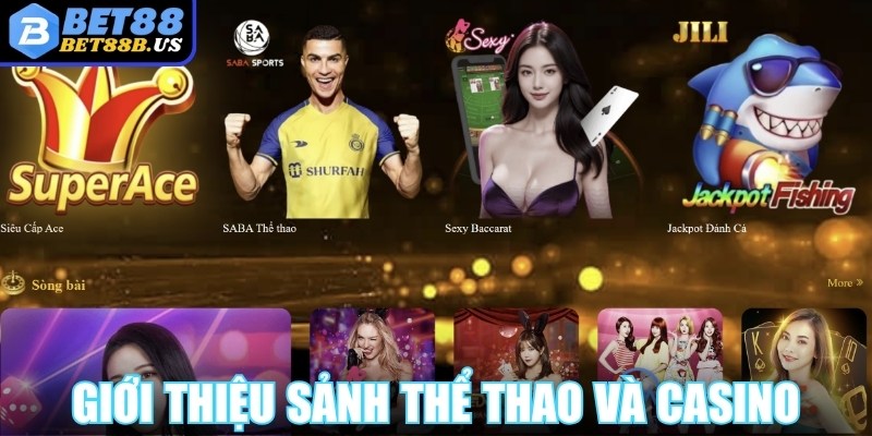 Giới thiệu sảnh thể thao và casino với tỷ lệ cược siêu cao