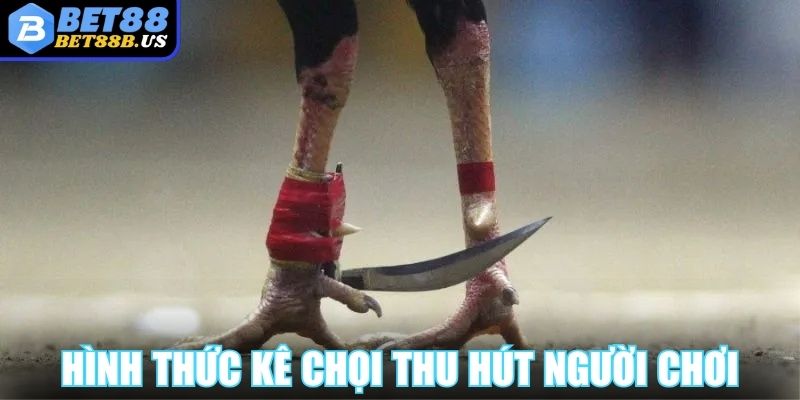 Hình thức kê chọi luôn thu hút đông đảo người chơi