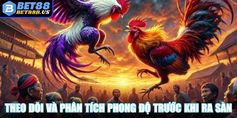 Đá Gà Thomo - Mở Khóa Kinh Nghiệm Chơi Cực Chất Cho Bạn Theo dõi và phân tích phong độ kê chiến trước khi ra sàn