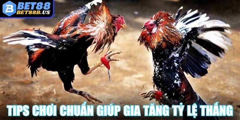 Tips chơi chuẩn từ cao thủ giúp gia tăng tỷ lệ thắng